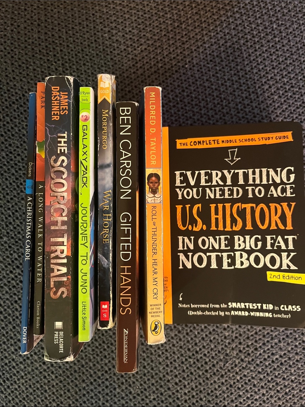 Middle School Books (8)